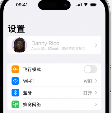 开鲁appleID维修服务iPhone设置中Apple ID显示为灰色无法使用