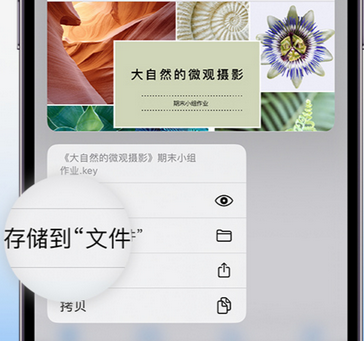 开鲁apple维修中心分享iPhone文件应用中存储和找到下载文件