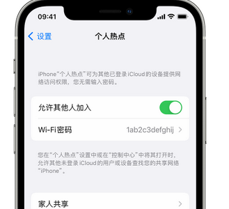 开鲁apple服务站点分享iPhone上个人热点丢失了怎么办 