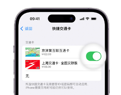 开鲁apple维修点分享iPhone上更换Apple Pay快捷交通卡手绘卡面 