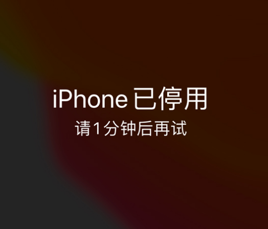 开鲁苹果手机维修分享:iPhone 显示“不可用”或“已停用”怎么办？还能保留数据吗？ 