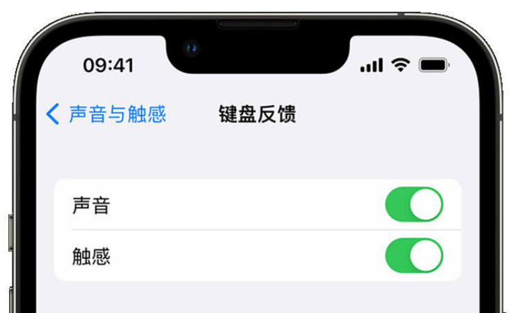 开鲁苹果手机维修分享iPhone 14触感键盘使用方法 