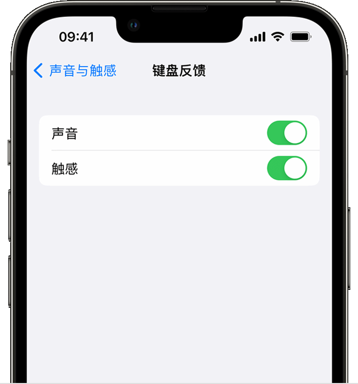 开鲁苹果14维修店分享如何在 iPhone 14 机型中使用触感键盘 