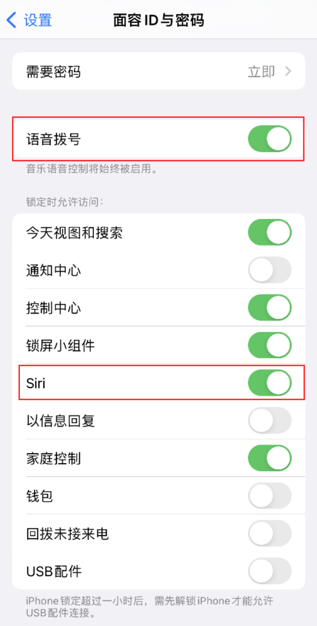 开鲁苹果维修网点分享不解锁 iPhone 的情况下通过 Siri 拨打电话的方法 