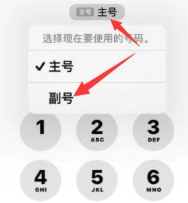 开鲁苹果14维修店分享iPhone 14 Pro Max使用副卡打电话的方法 