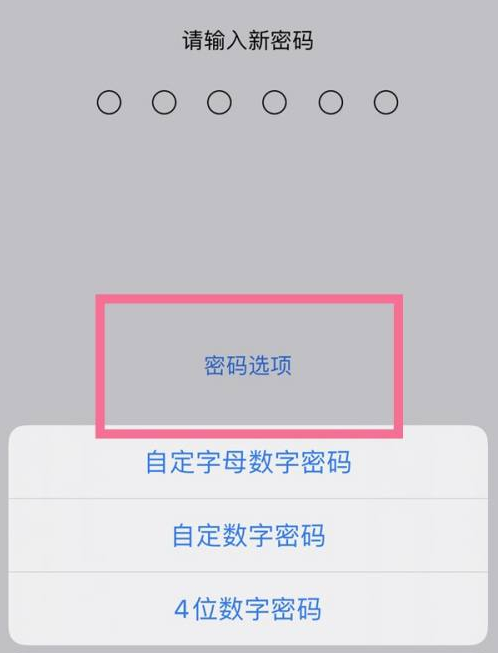 开鲁苹果14维修分享iPhone 14plus设置密码的方法 