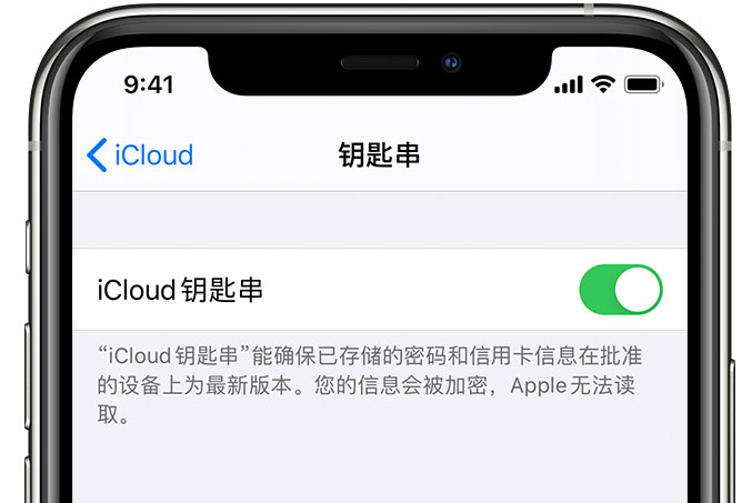 开鲁苹果手机维修分享在 iPhone 上开启 iCloud 钥匙串之后会储存哪些信息 