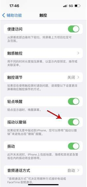 开鲁苹果手机维修分享iPhone手机如何设置摇一摇删除文字 