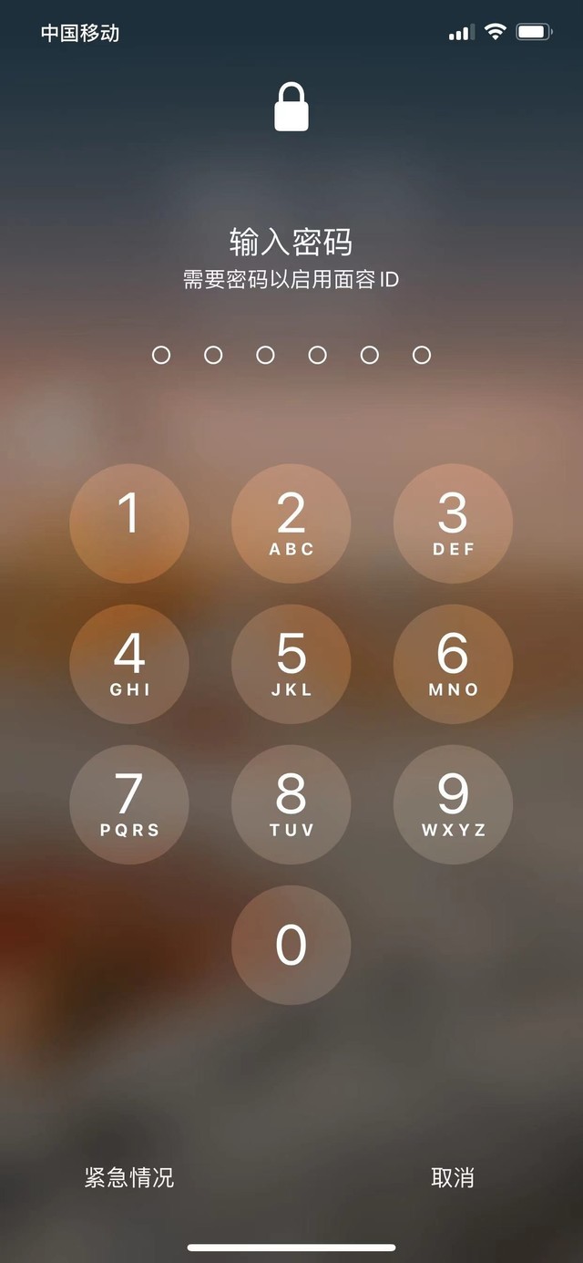 开鲁苹果13维修分享iPhone 13加强锁屏功能有什么用 