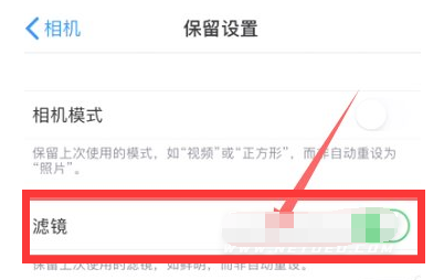 开鲁苹果13维修分享iPhone13拍照有绿点是怎么回事 