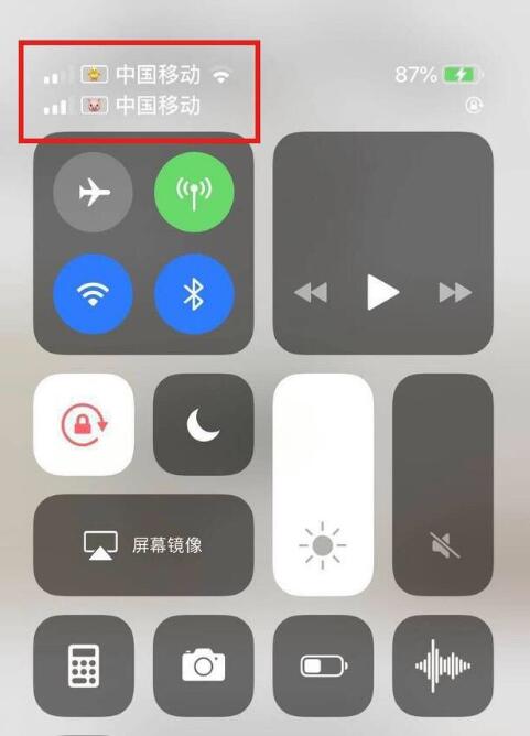 开鲁苹果手机维修分享为 iPhone 12 双卡设置标签 