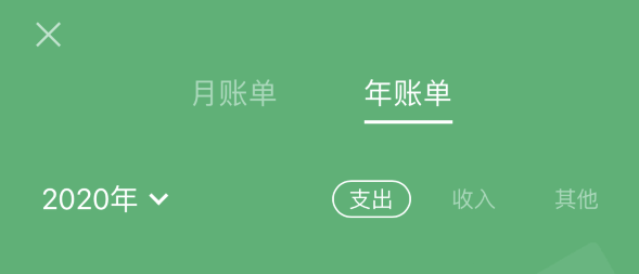 开鲁苹果手机维修分享如何在 iPhone 上查看支付宝和微信年支出账单 